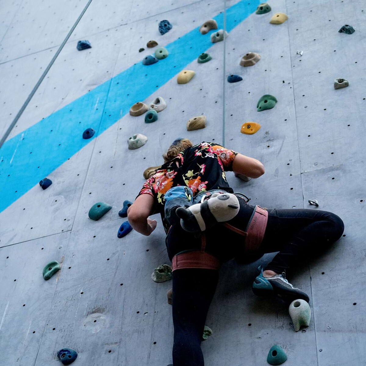 angeseilte Person klettert die Kletterwand nach oben.